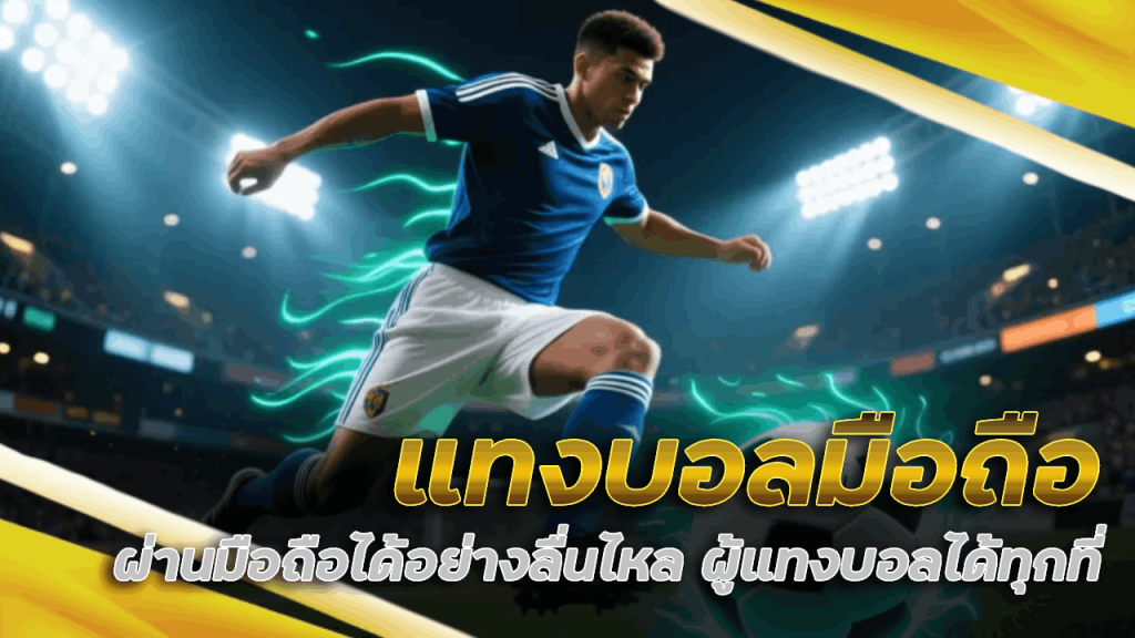 dna24 แทงบอลมือถือ