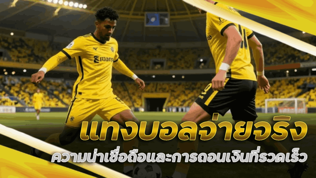 แทงบอล vegas56 จ่ายจริง